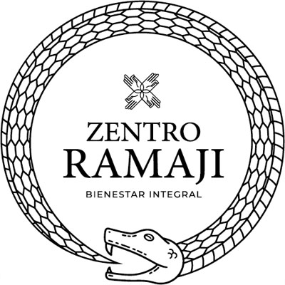 CEO de Zentro Ramaji